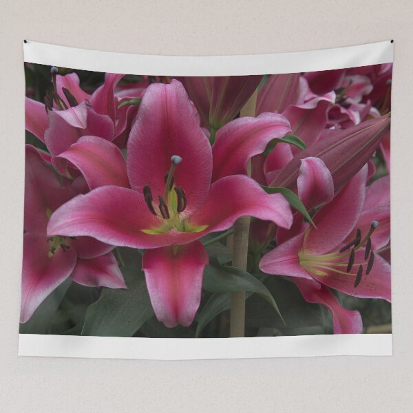 Item preview, 850_6082 designed and sold by wgcosby.