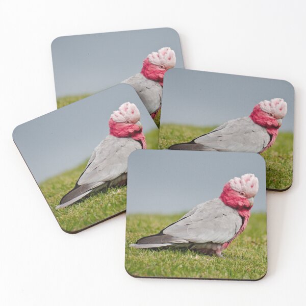 Item preview, PARROT ~ Galah by David Irwin DJIVPVWJWZG designed and sold by tasmanianartist.