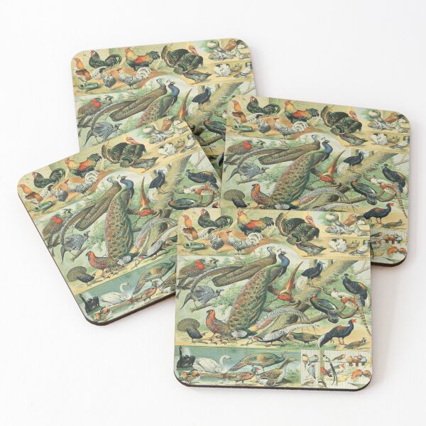 Item preview, Adolphe Millot Oiseaux C - Vintage Birds By Millot Enhanced Reproduction designed and sold by molamode.