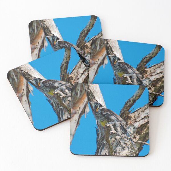 Item preview, HONEYEATER ~ Yellow Wattlebird by David Irwin DJI7FDYG9S5 designed and sold by tasmanianartist.