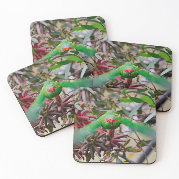 Item preview, PARROT ~ Musk Lorikeet by David Irwin DJITDX8NRWQ designed and sold by tasmanianartist.