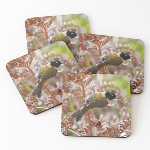 Item preview, HONEYEATER ~ Black-headed Honeyeater by David Irwin DJIXHQW2SX6 designed and sold by tasmanianartist.