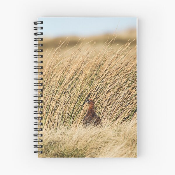 Item preview, Fan in the heather designed and sold by PhotoTiphaine.
