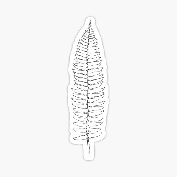 Item preview, Black Sword Fern Sticker designed and sold by AlkiCreationsCo.