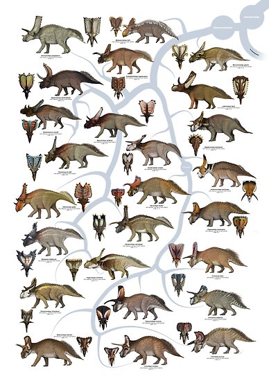 horned dinosaurs list