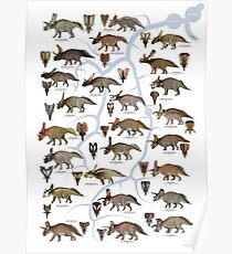 Ceratopsidae: Chasmosaurinae Dinosaurs (ver I) Poster