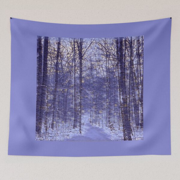 Item preview, Winter Path designed and sold by Chris Sturgess.