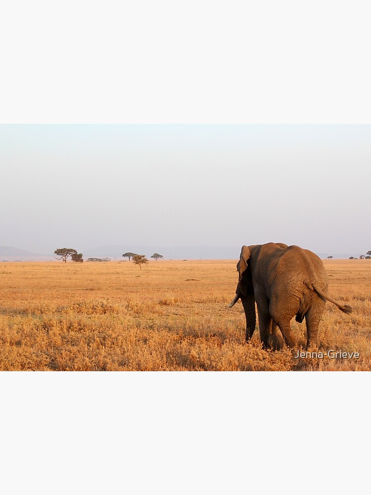 Elephant Walking Away Greeting Card By Jenna Grieve Redbubble