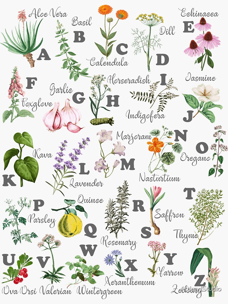"Herb Alphabet" Sticker for Sale by ArtlandStudio Redbubble