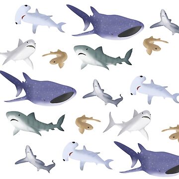 Artwork thumbnail, Sharks by Rayner Design