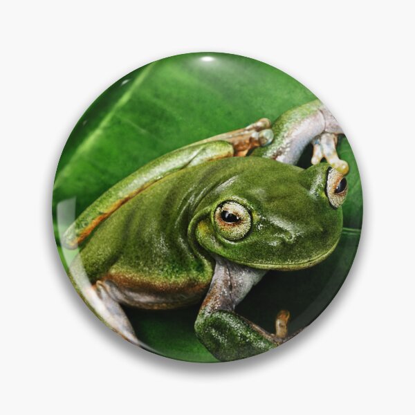 Artikelvorschau, TREE FROG #2 entworfen und verkauft von DilettantO.