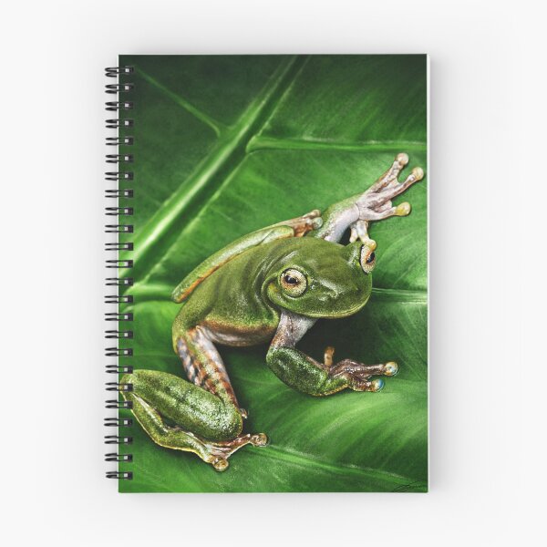 Item preview, TREE FROG #2 designed and sold by DilettantO.
