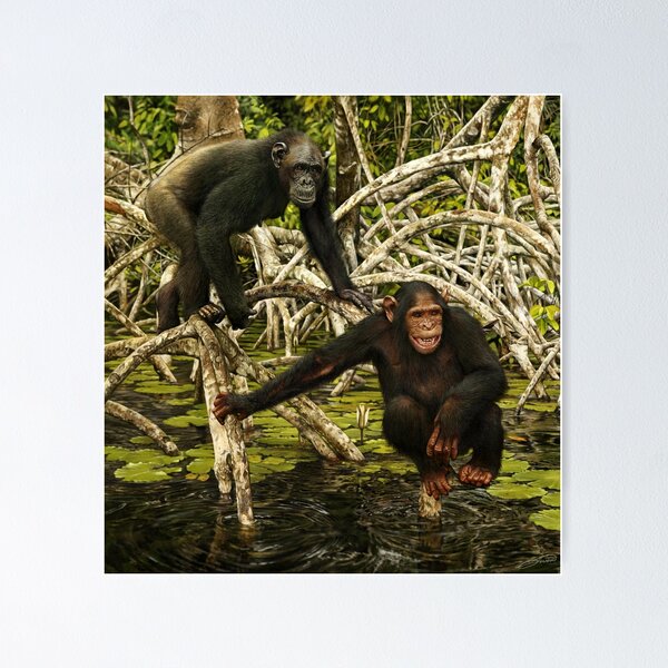 Kaufen Sie Travel Monkey Reise-Kulturbeutel Jungle – zum Aufhängen