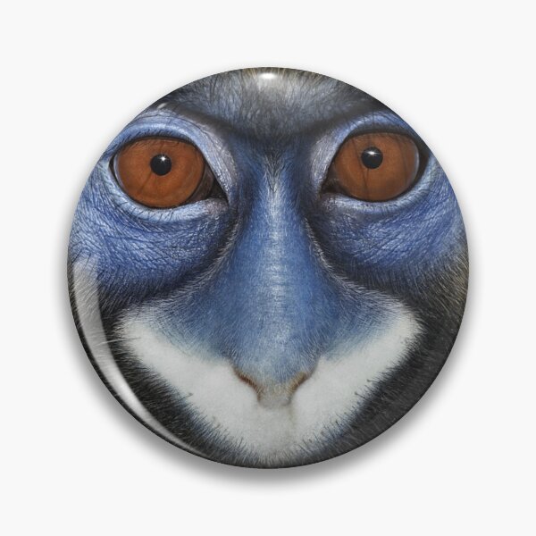 Item preview, MOUSTACHED GUENON ( Cercopithacus cephus) designed and sold by DilettantO.