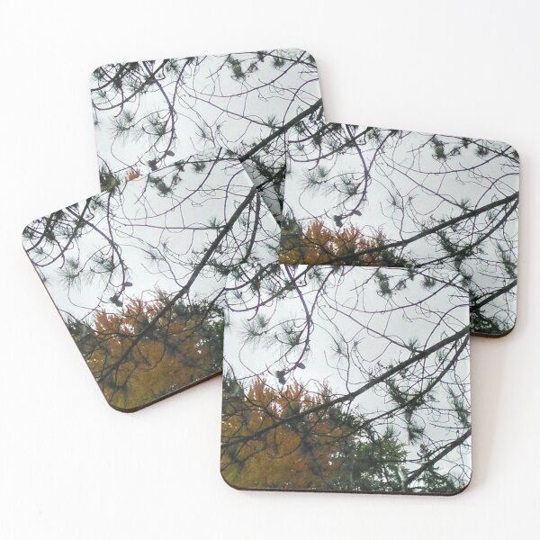 Item preview, Glimpse At The Sky Through The Trees  designed and sold by Cora Gregory.