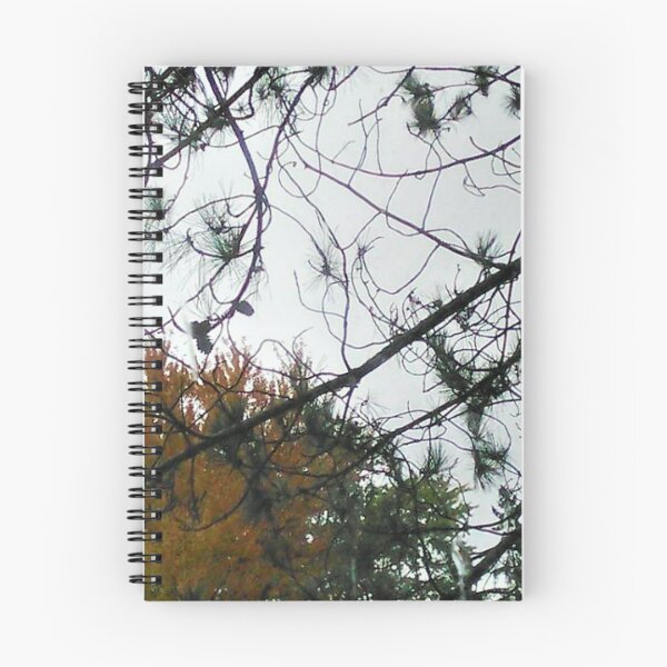 Item preview, Glimpse At The Sky Through The Trees  designed and sold by Cora Gregory.