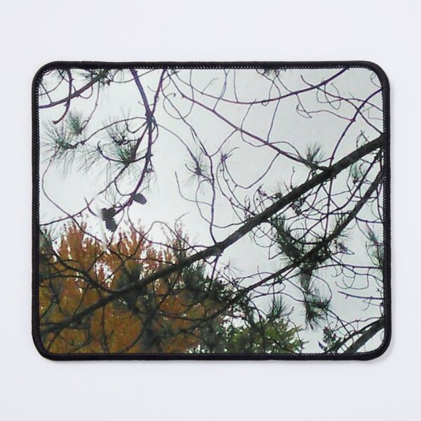 Item preview, Glimpse At The Sky Through The Trees  designed and sold by Cora Gregory.