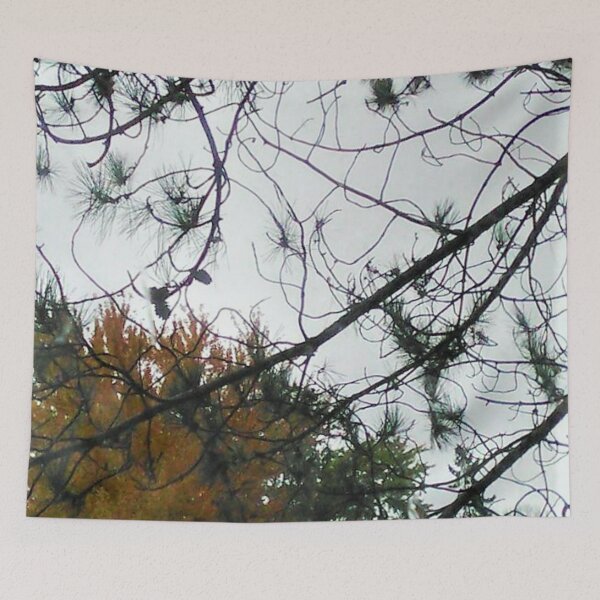Item preview, Glimpse At The Sky Through The Trees  designed and sold by Cora Gregory.