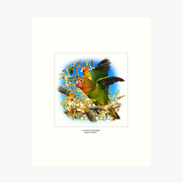 Item preview, LILIAN'S LOVEBIRD 5 (NOT A PHOTOGRAPH) designed and sold by DilettantO.