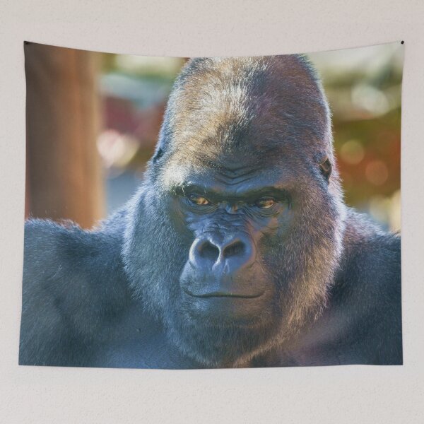 Item preview, Gorilla Look designed and sold by rawshutterbug.