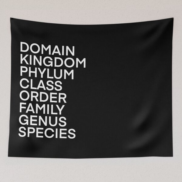 Item preview, Biology/Science Taxonomic Rank of Life  designed and sold by The-Laboratory.