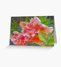 Newly trimmed hibiscus bush Greeting Card