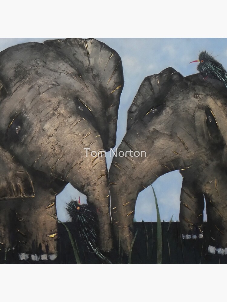 Wacky Birds on Baby Elephants by tomnorton