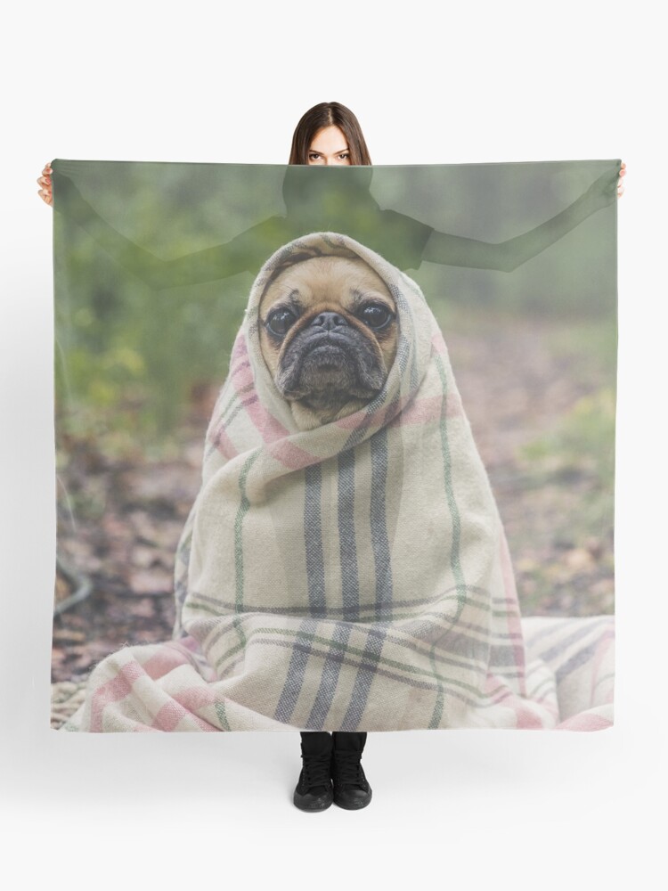 pug dog scarf