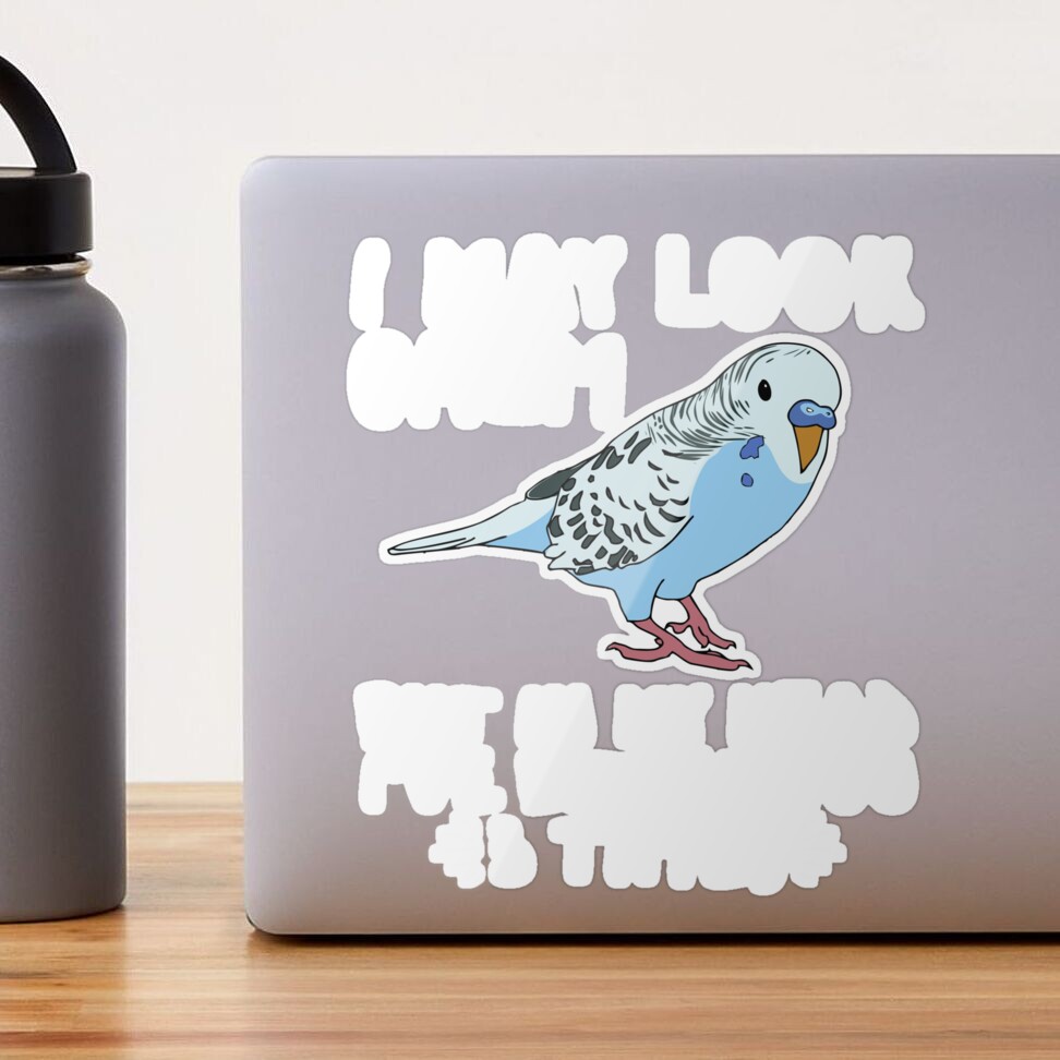 Funny Parakeet In My Head I've Bitten You 3 Times Budgie Water Bottle by  EQDesigns