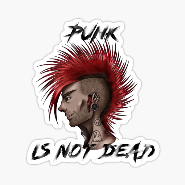 punk guys girls DIY PUNK ROCK music Bumper Sticker