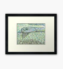Snake watercolor study Framed Print