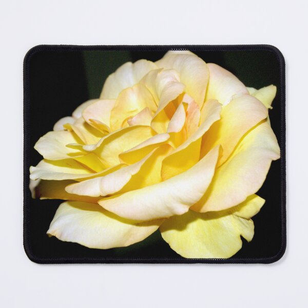 Item preview, Sweet Yellow designed and sold by Rainy.