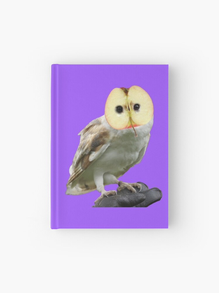 Vibrant Barn Owl Portrait