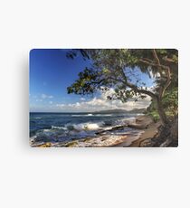 The Beach At Kapaa Metal Print