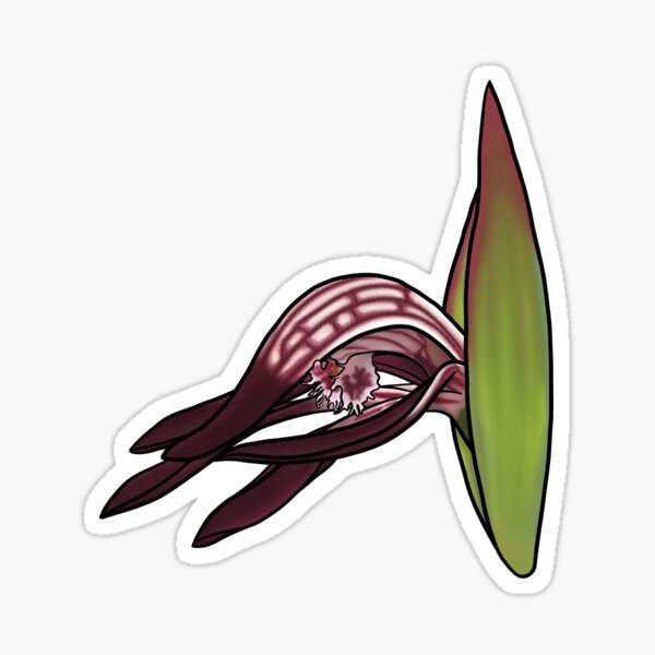 Item preview, Red Beak Orchid  designed and sold by JoWillmot.