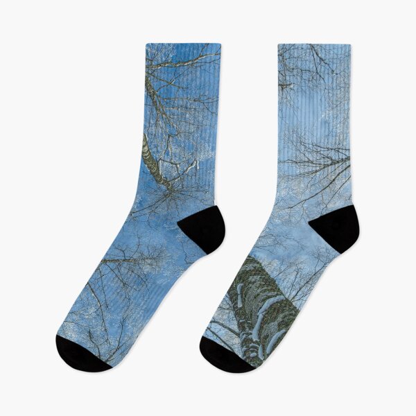 Item preview, Frosty birches designed and sold by Veikko  Suikkanen.