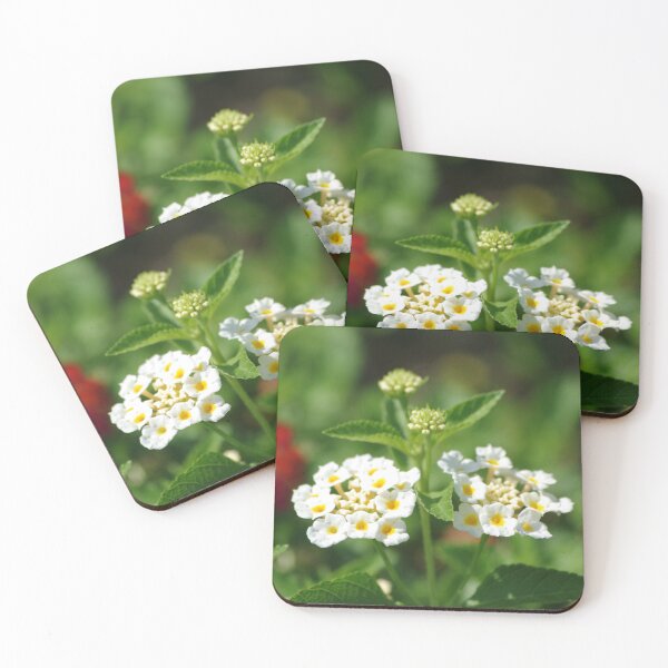 Item preview, Weeping Lantana designed and sold by Rainy.