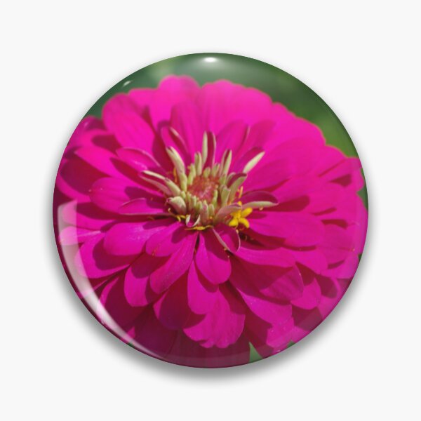 Aperçu de l'œuvre Pink Zinnia créée et vendue par Rainy.