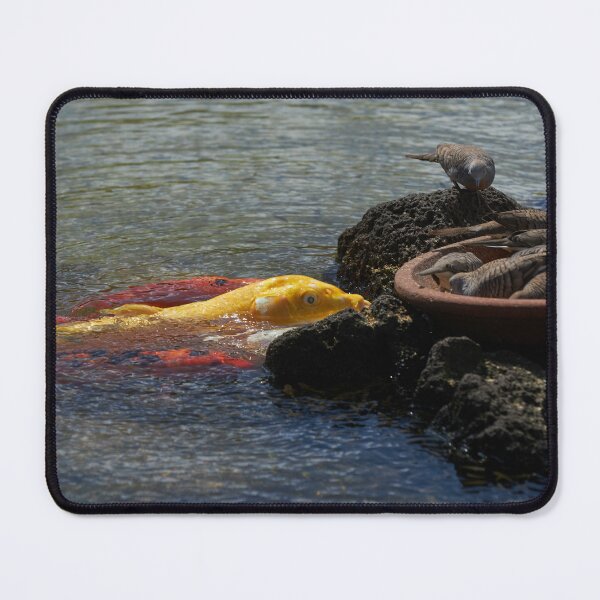 Item preview, Bird Seed = Koi Feed designed and sold by stevewhitephoto.