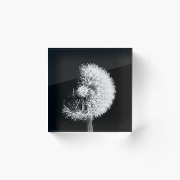 Item preview, Light Dandelion designed and sold by Paulscho.
