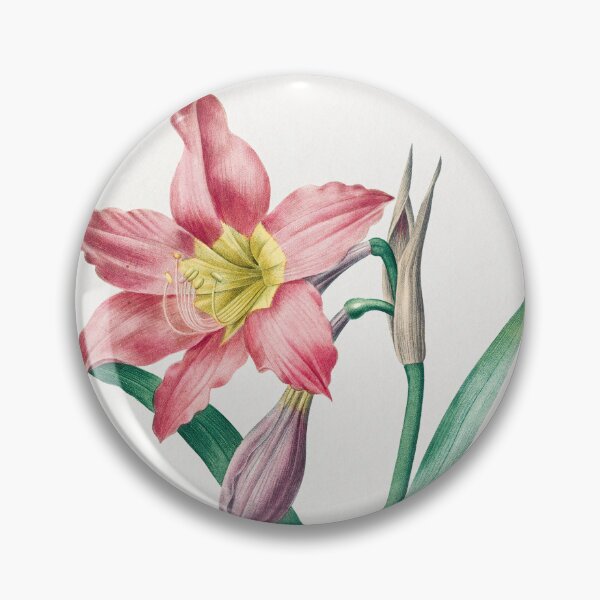 Item preview, Amaryllis Equestre by Pierre-Joseph Redouté designed and sold by InHerits.