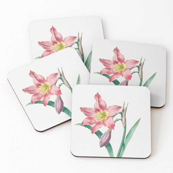 Item preview, Amaryllis Equestre by Pierre-Joseph Redouté designed and sold by InHerits.