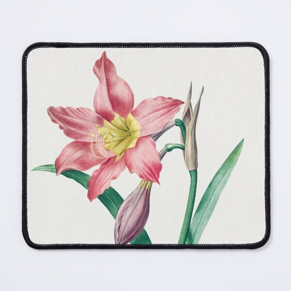 Item preview, Amaryllis Equestre by Pierre-Joseph Redouté designed and sold by InHerits.