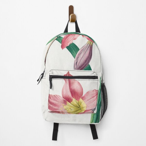 Item preview, Amaryllis Equestre by Pierre-Joseph Redouté designed and sold by InHerits.