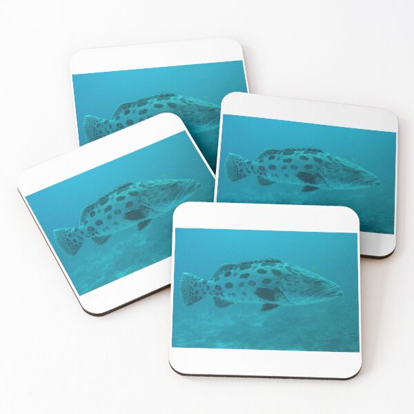 Item preview, Potato Grouper designed and sold by David JC.