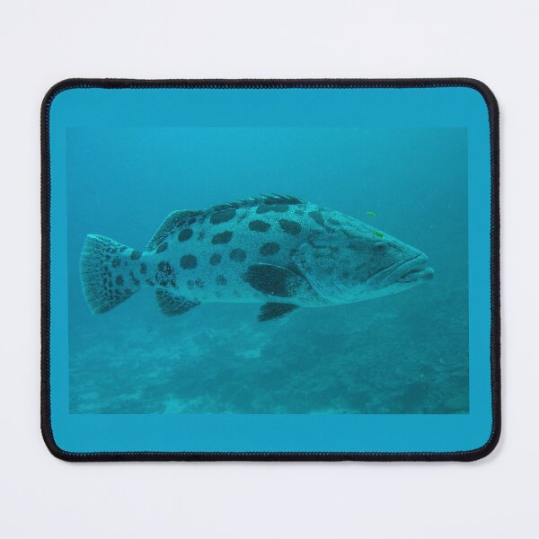 Item preview, Potato Grouper designed and sold by David JC.