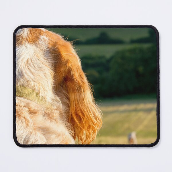 Item preview, The Lookout Spinone by heidiannemorris designed and sold by FOLK ART FUSION by heidiannemorris.