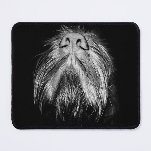 Item preview, Italian Spinone Nose by heidiannemorris ©️ designed and sold by FOLK ART FUSION.
