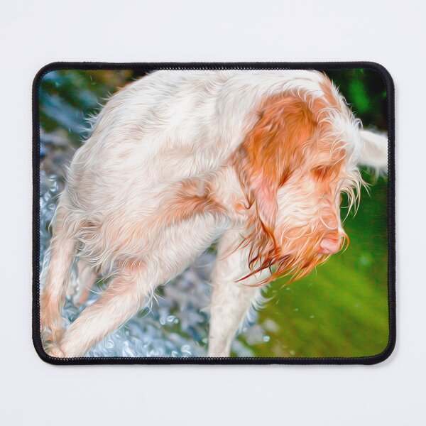 Item preview, River splash Spinone designed and sold by FOLK ART FUSION.