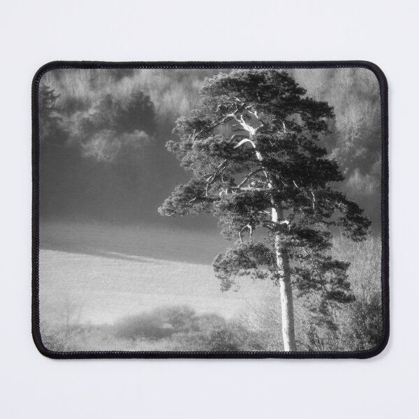 Item preview, Scots Pine Tree designed and sold by FOLK ART FUSION.